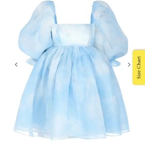 Selkie Puff Dress - Baby Blue Clouds 1X